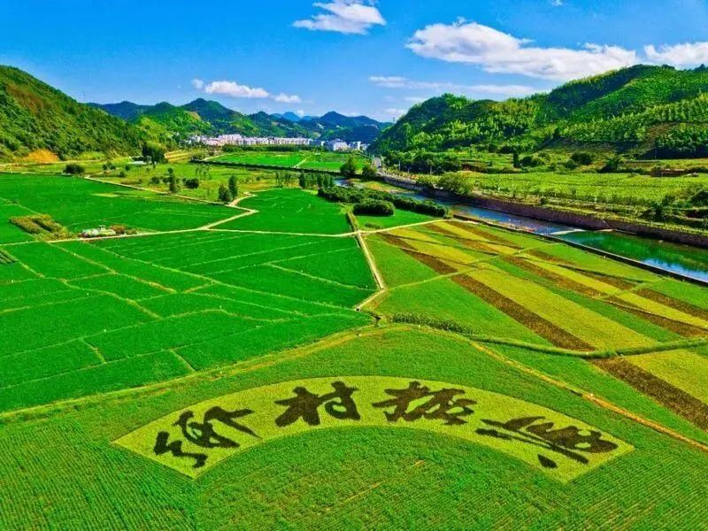 70%中小微患“辛冠”竟不知，该诊断了！(图8)