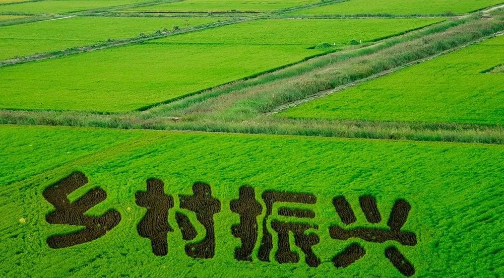 智慧村官：比直播带货强百倍的乡村振兴共富模式来了！(图2)