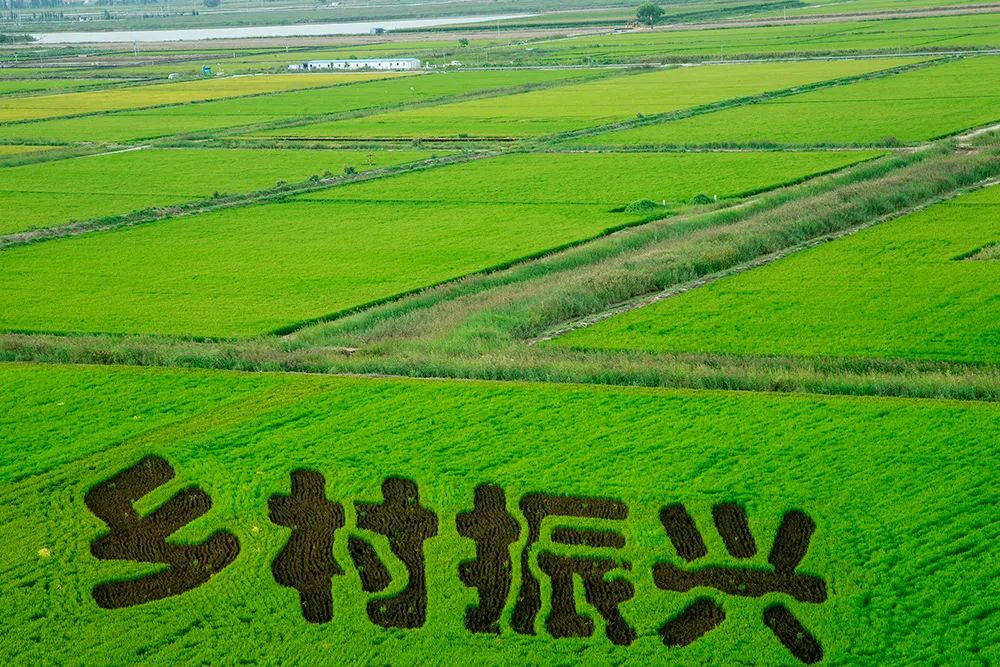 大会闭幕，适合普通人赚钱的好项目发布！(图3)